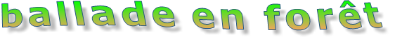 ballade en forêt
